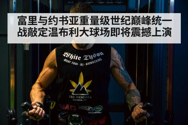 富里与约书亚重量级世纪巅峰统一战敲定温布利大球场即将震撼上演