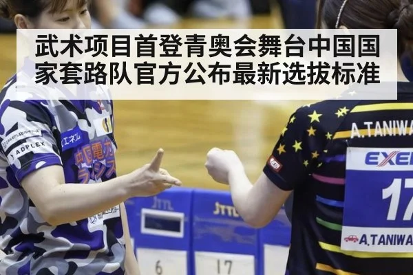 武术项目首登青奥会舞台中国国家套路队官方公布最新选拔标准