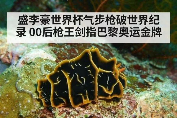 盛李豪世界杯气步枪破世界纪录 00后枪王剑指巴黎奥运金牌