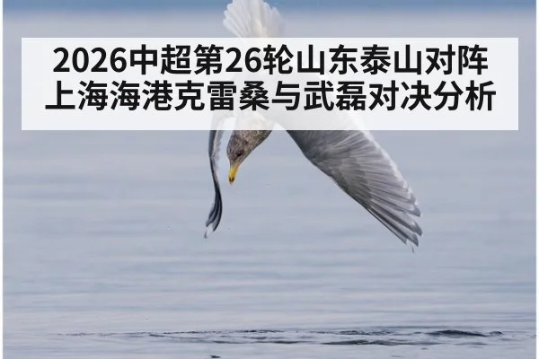 2026中超第26轮山东泰山对阵上海海港克雷桑与武磊对决分析